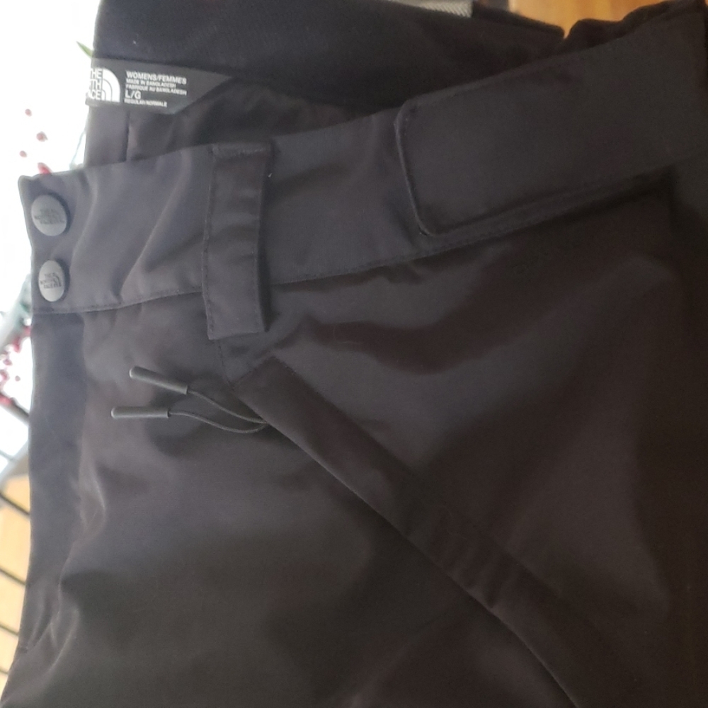 North Face Women's Freedom Insulated Ski Pants